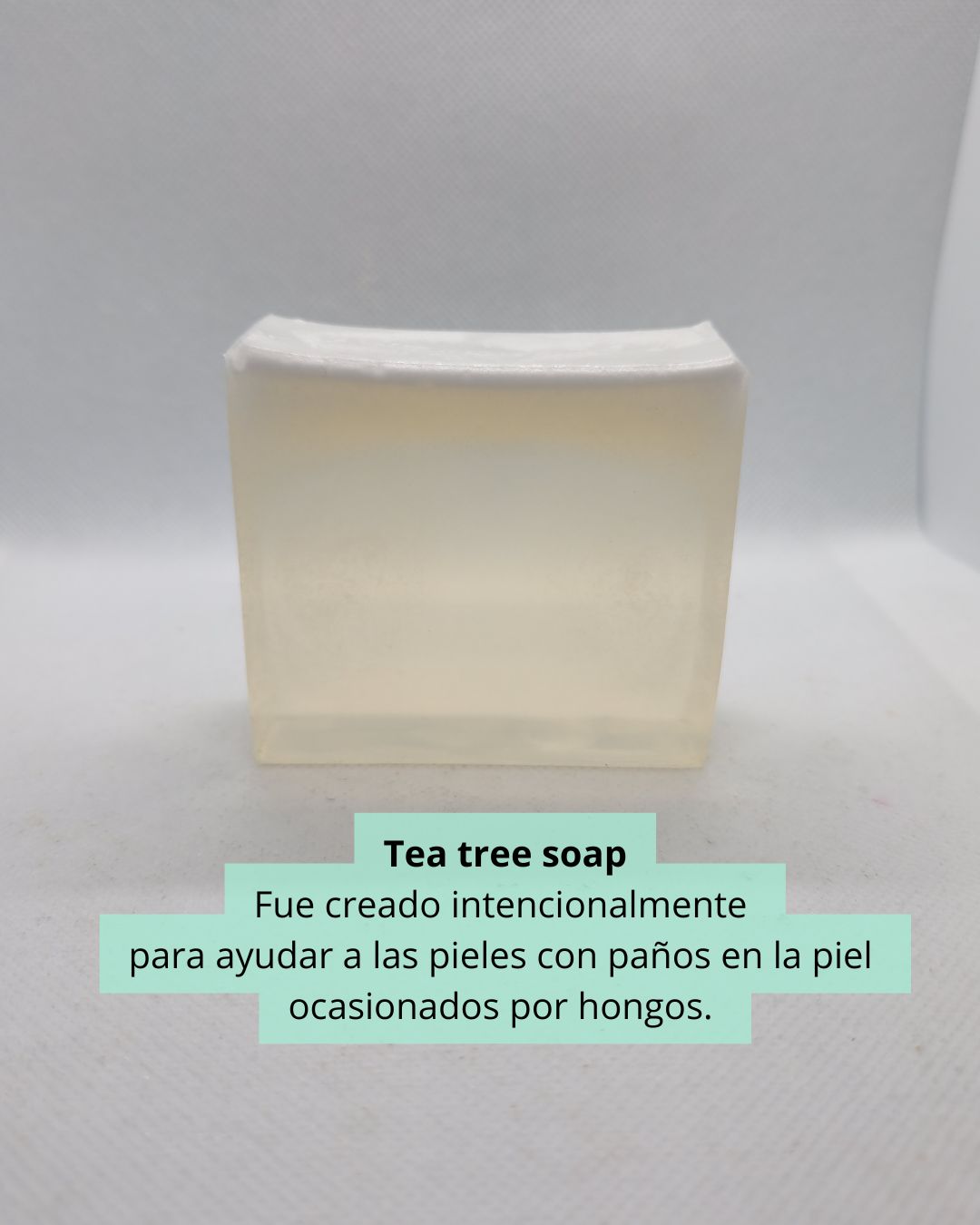 Tea tree